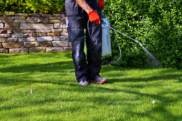 Best Bee and Wasp Removal  in Oak Grove, MO